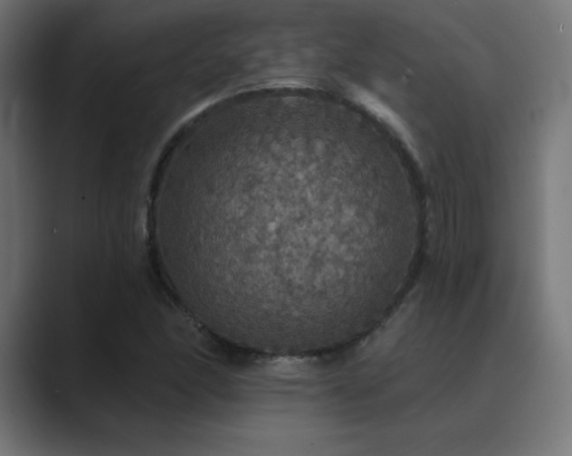 X0000089961166200706291224