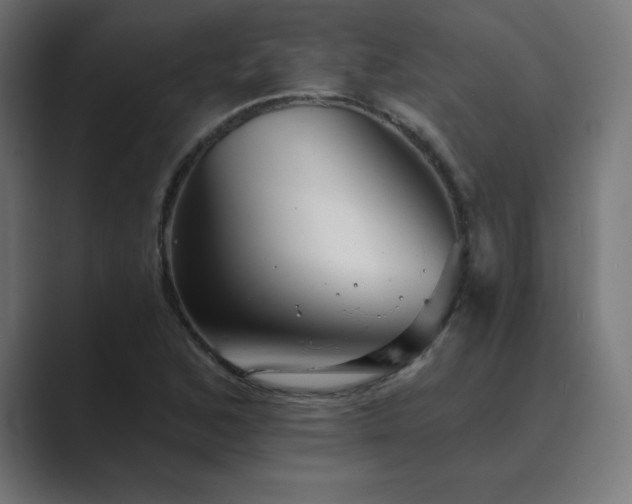 X0000089961168200706291224