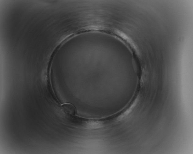 X0000089961170200706291224