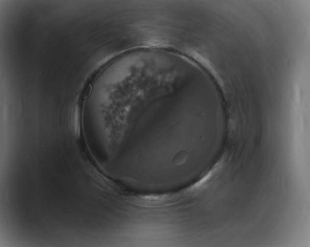 X0000089961171200706291224