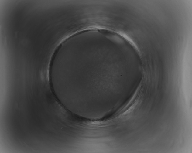 X0000089961173200706291224