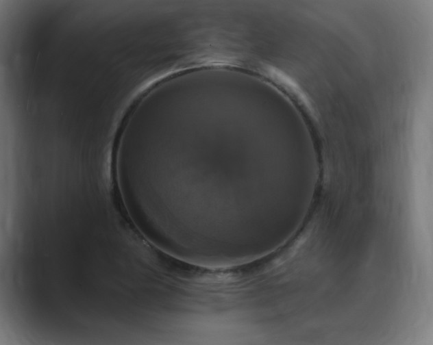X0000089961174200706291224