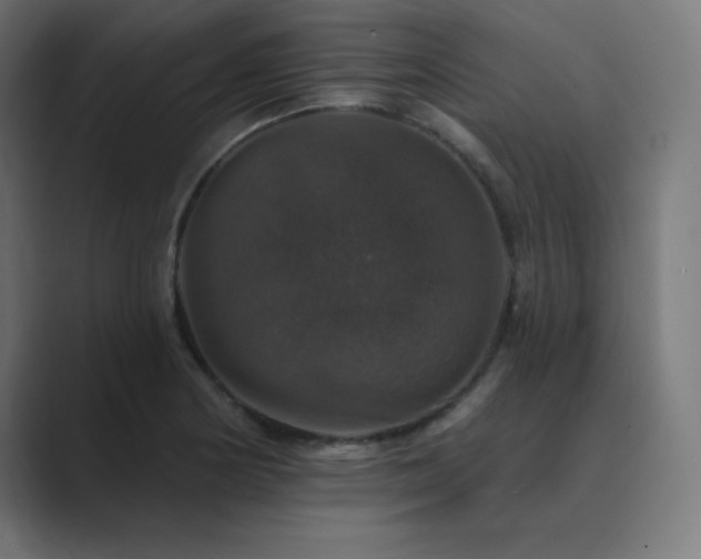 X0000089961178200706291224