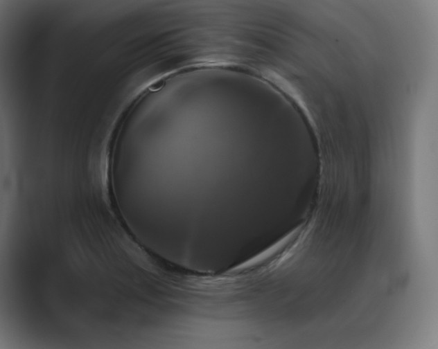 X0000089961179200706291224