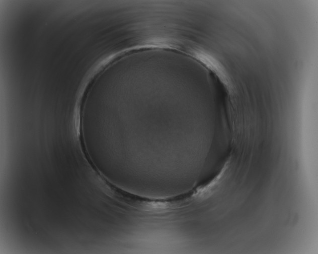 X0000089961180200706291224