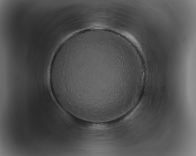 X0000089961183200706291224