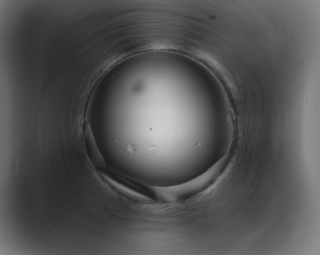 X0000089961185200706291224