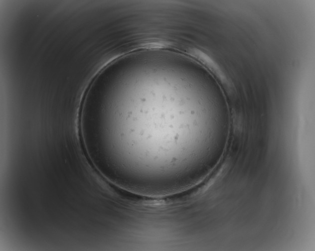 X0000089961186200706291224