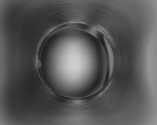 X0000089961188200706291224