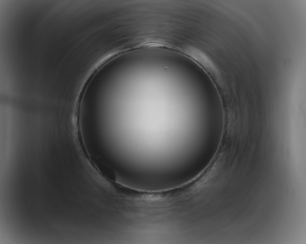 X0000089961190200706291224