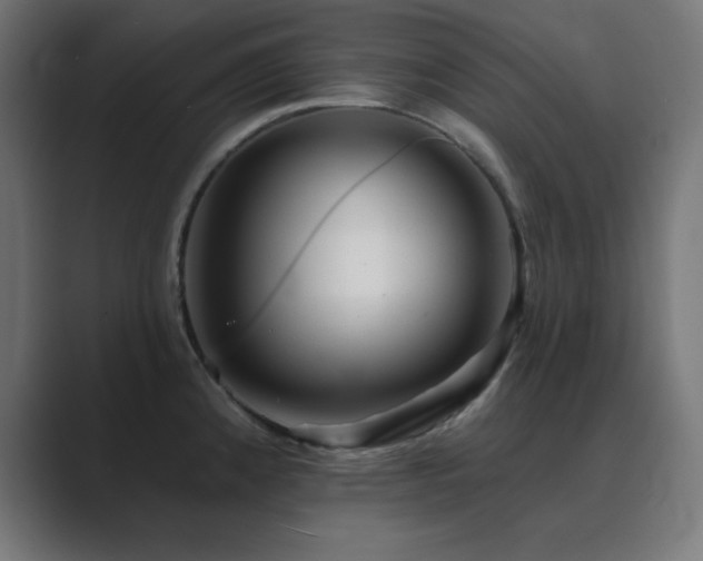 X0000089961192200706291224