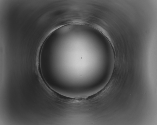 X0000089961195200706291224