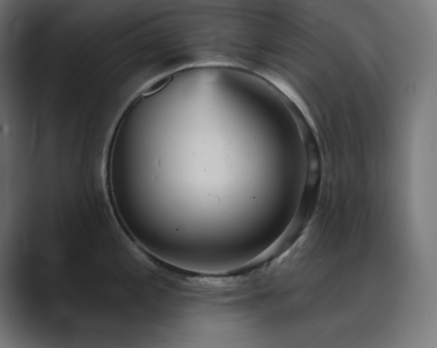 X0000089961197200706291224