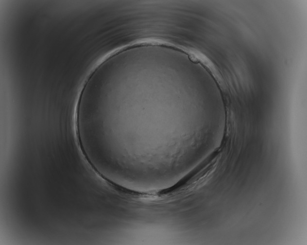 X0000089961199200706291224