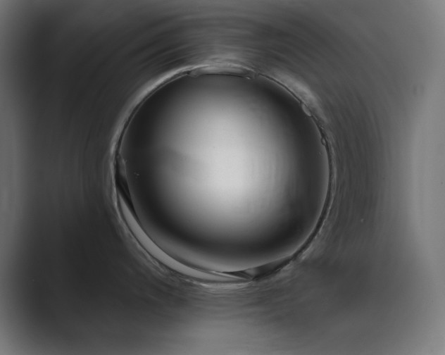 X0000089961200200706291224