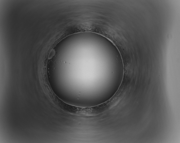 X0000089961201200706291223