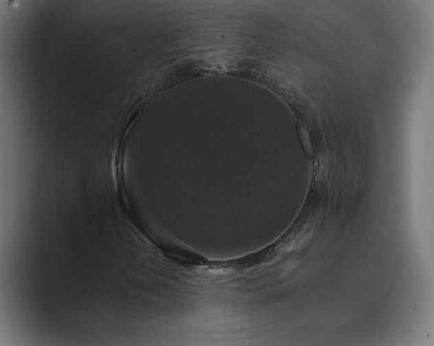 X0000089961202200706291223