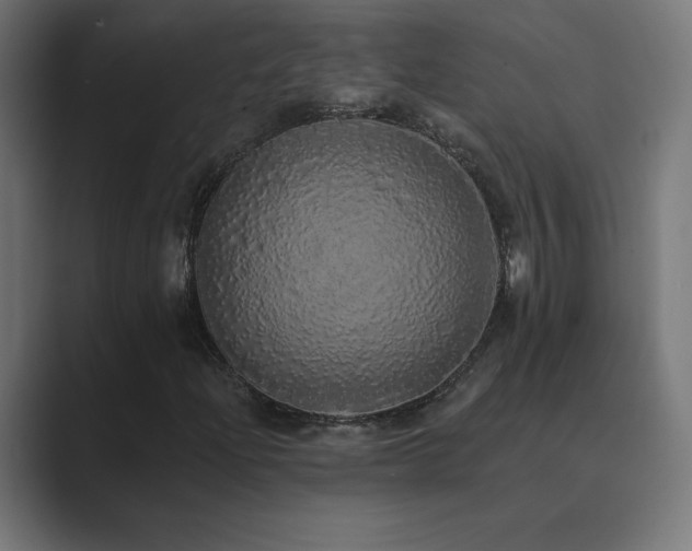 X0000089961204200706291223