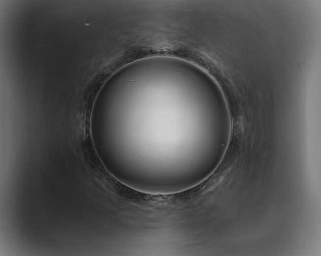 X0000089961205200706291223
