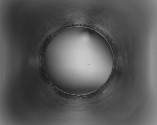X0000089961207200706291223