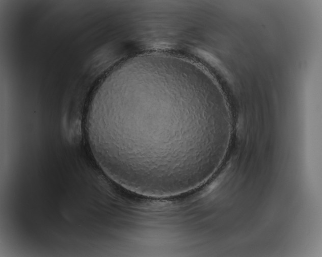X0000089961209200706291223