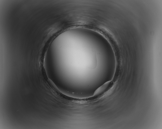 X0000089961210200706291223