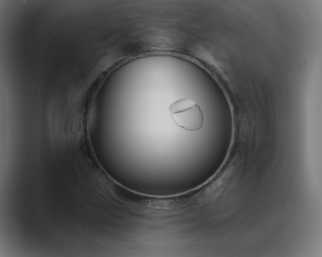 X0000089961211200706291223