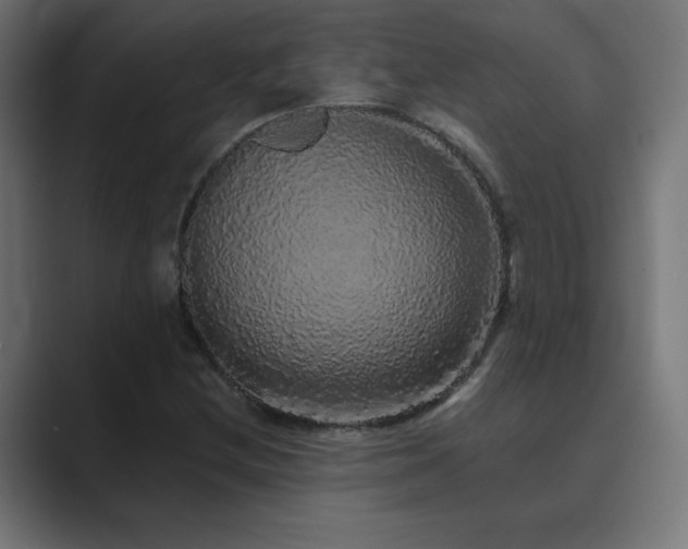 X0000089961212200706291223