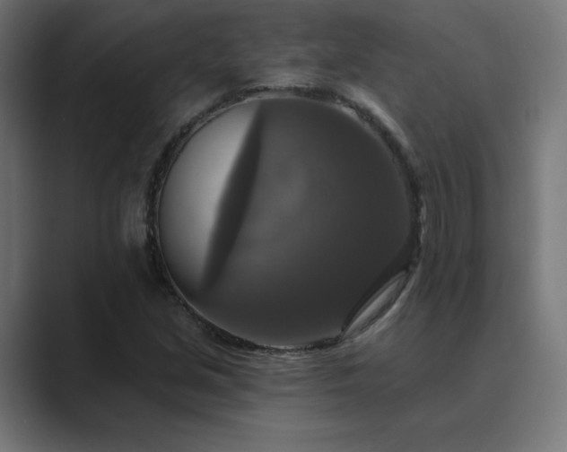 X0000089961213200706291223