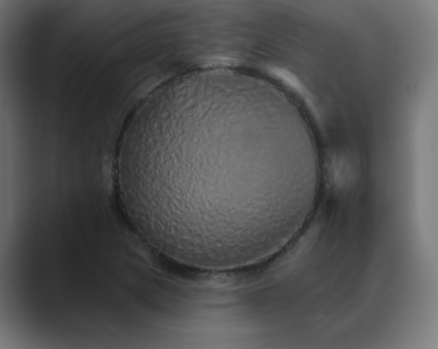 X0000089961217200706291223