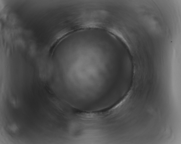 X0000089961219200706291223