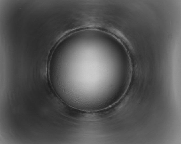 X0000089961220200706291223