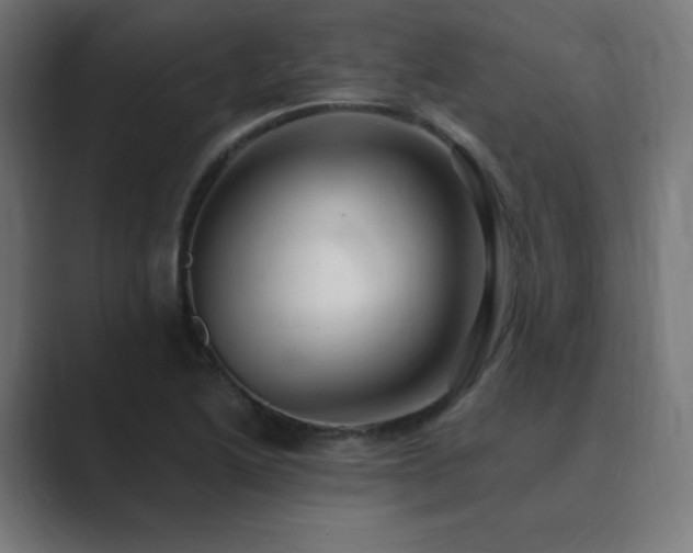X0000089961222200706291223