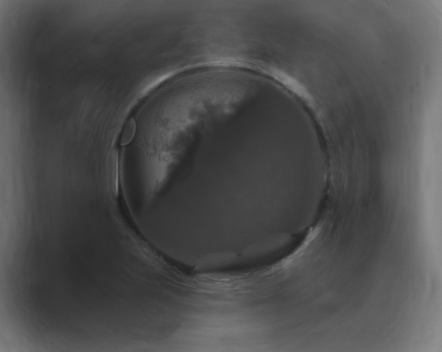 X0000089961223200706291223