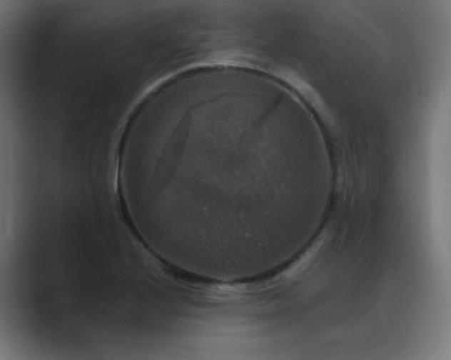 X0000089961224200706291223