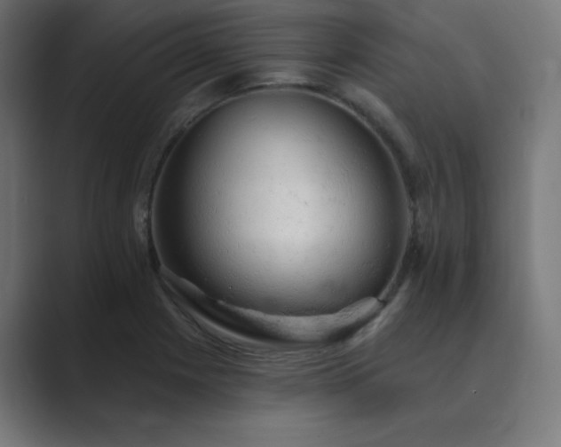 X0000089961225200706291223