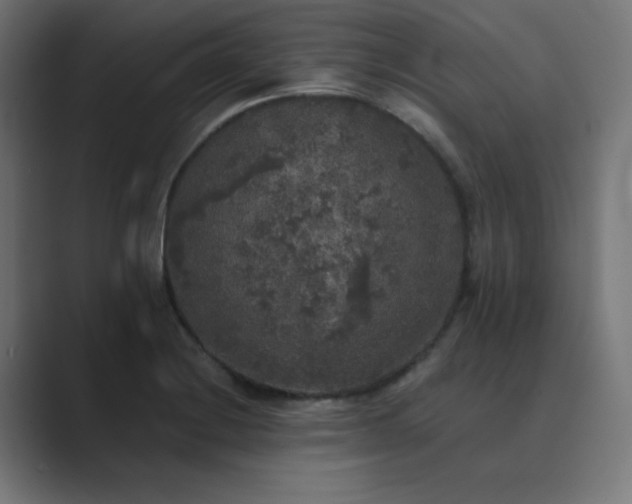 X0000089961228200706291223