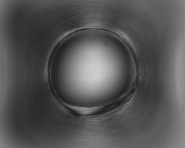 X0000089961230200706291223