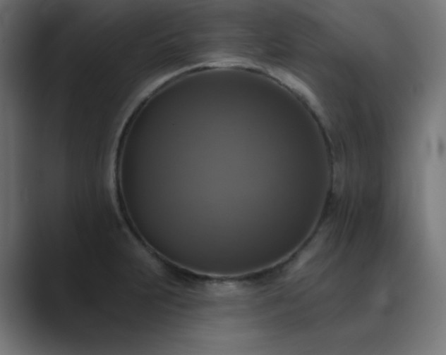 X0000089961231200706291223