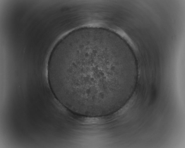 X0000089961232200706291223