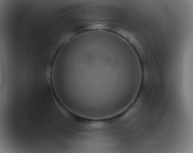 X0000089961233200706291223