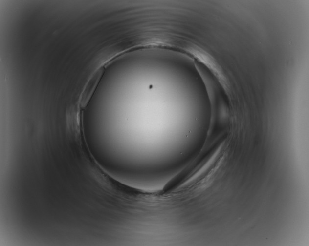 X0000089961234200706291223