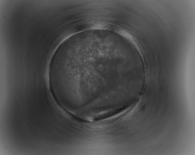 X0000089961235200706291223
