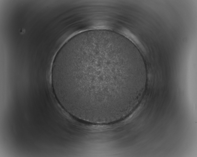 X0000089961236200706291223