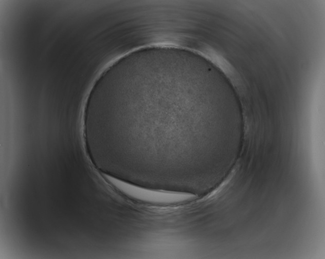X0000089961240200706291224