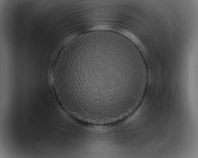 X0000089961241200706291224