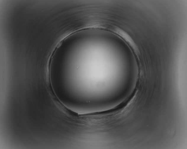 X0000089961242200706291224