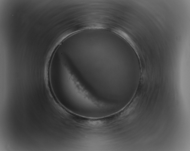 X0000089961243200706291224