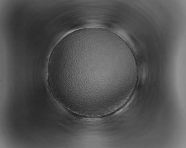 X0000089961244200706291224