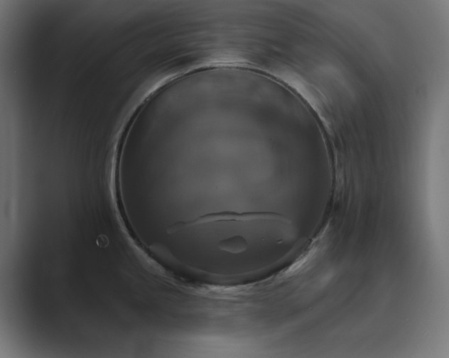 X0000089961245200706291224